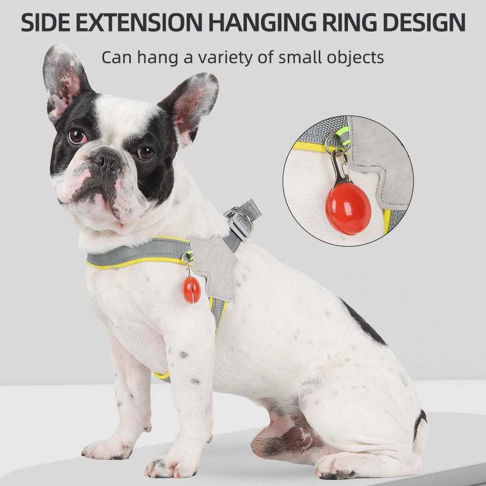 French Bulldog wearing the TrailGlow harness with a small accessory clipped to the side D-ring