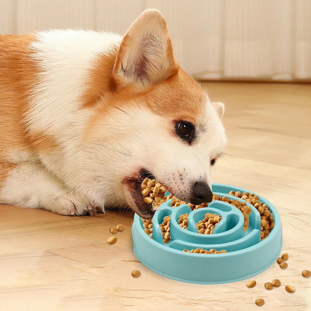 Dog eating from the maze slow feeder bowl
