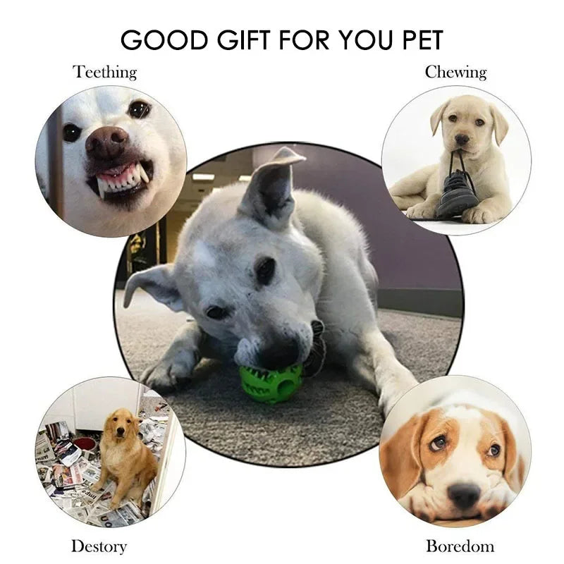 Treat Dispensing Dog Ball — Rubber Chew Toy & Slow Feeder