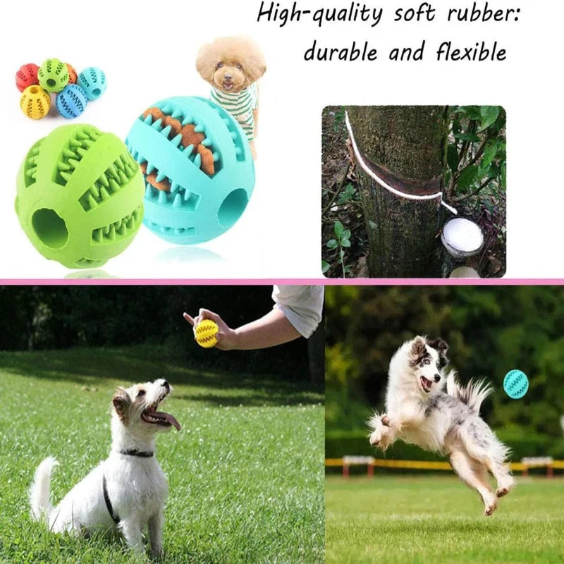 Treat dispensing dog ball loaded with kibble and a chew stick