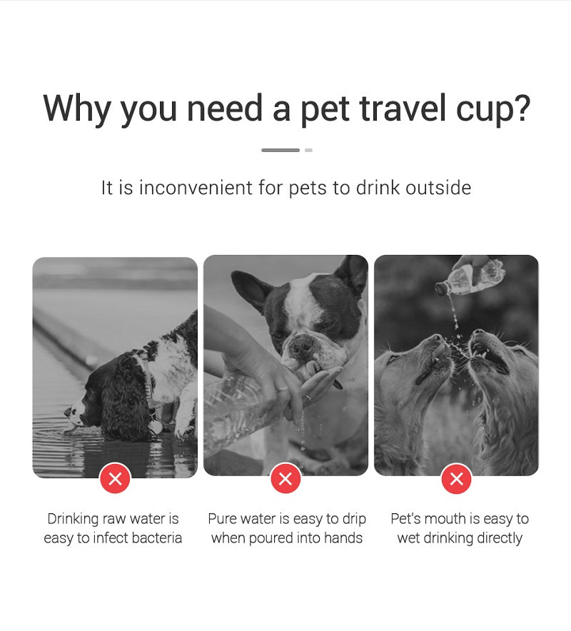 Portable Pet Water Bottle – Leakproof Travel Drinking Bottle for Dogs & Cats