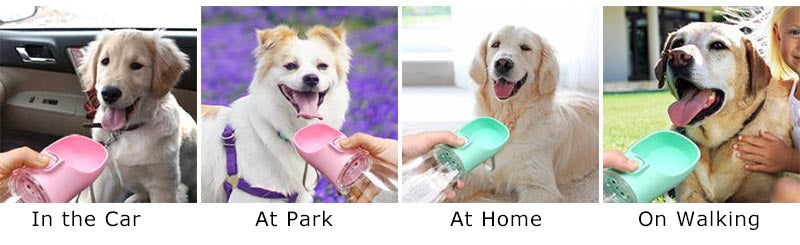 Portable Pet Water Bottle – Leakproof Travel Drinking Bottle for Dogs & Cats