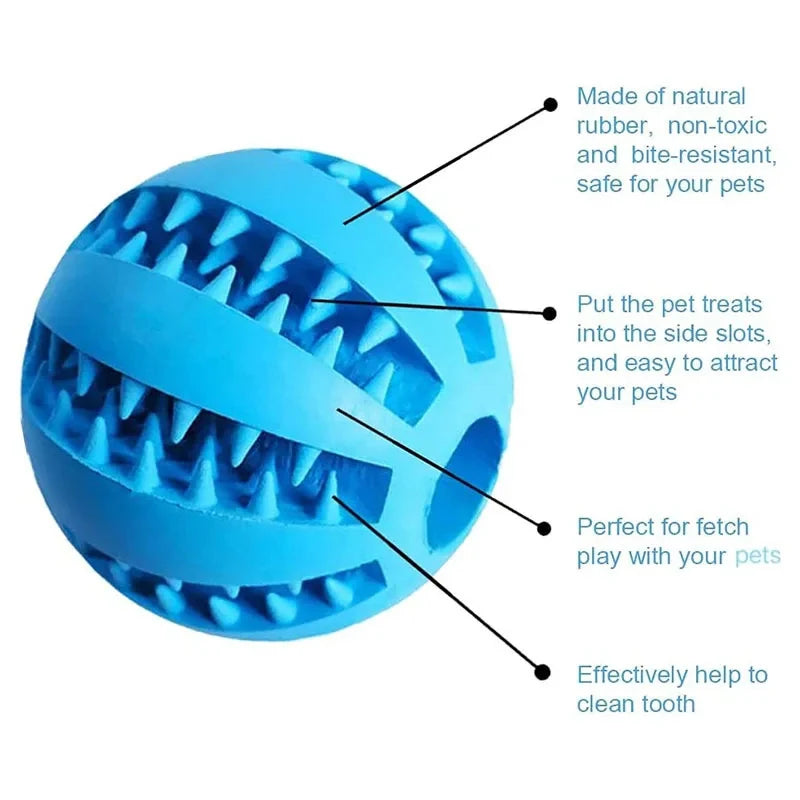 Dog chewing the rubber treat dispensing ball