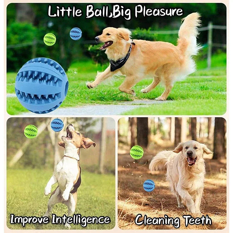 Two-pack of rubber treat dispensing dog balls