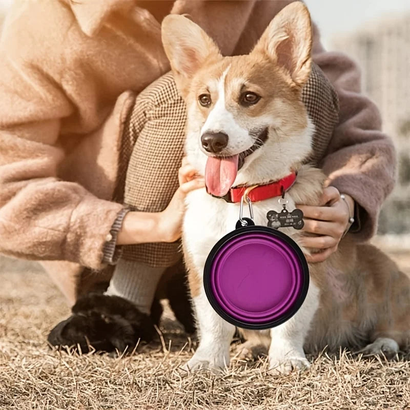 Collapsible Pet Travel Bowl – Silicone Food & Water Bowl for Dogs & Cats