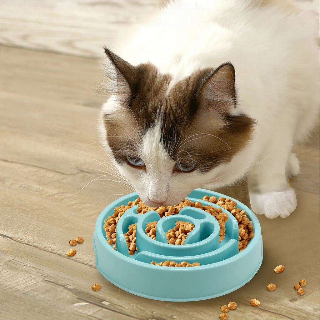 Slow feeder dog bowl filled with kibble between the maze ridges
