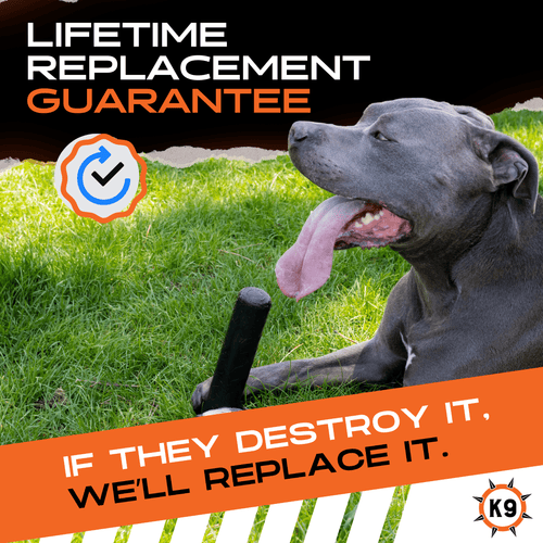 Dog lying on grass with a product and promotional text about a lifetime replacement guarantee.