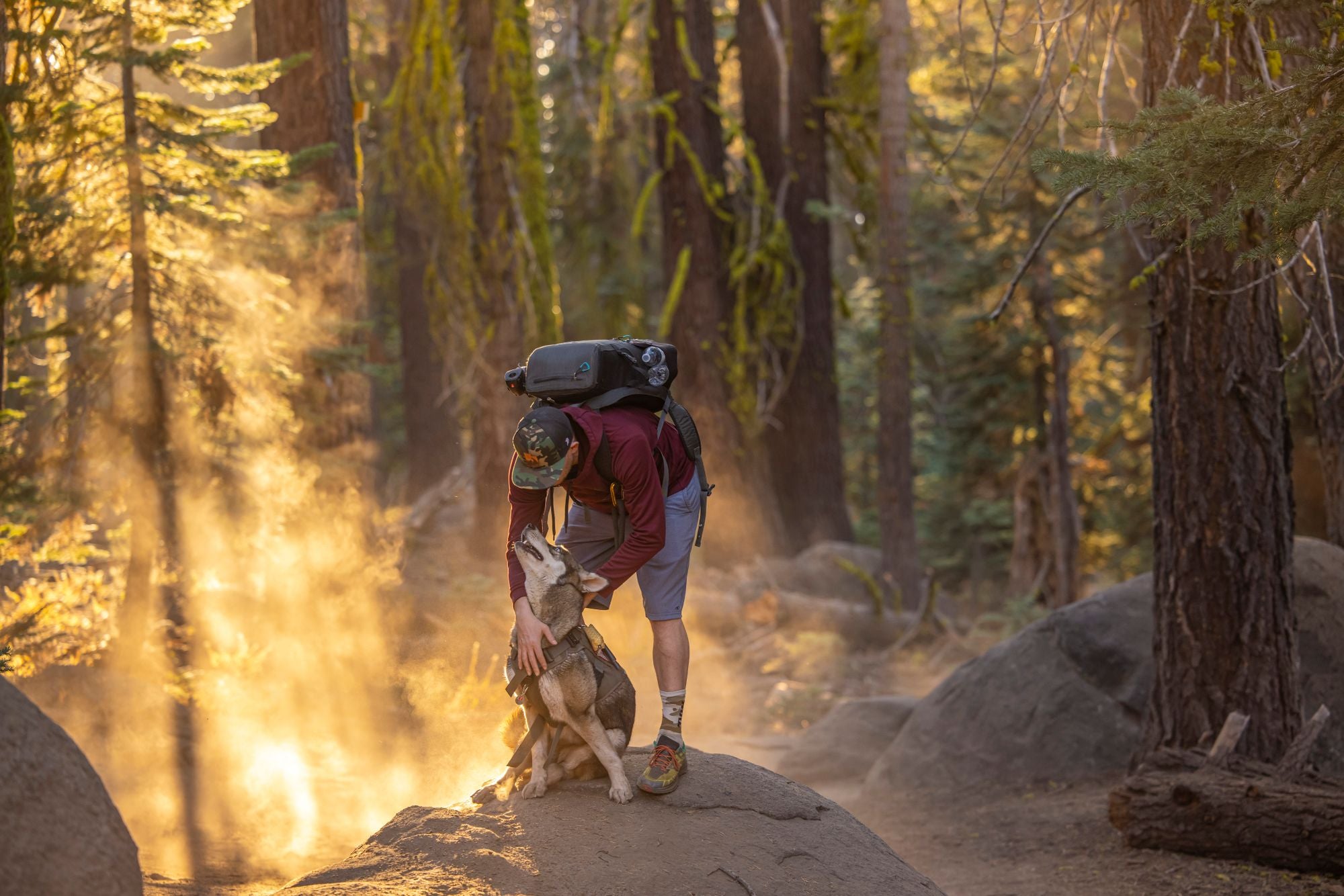 Hiker with backpack petting his dog on a sunlit forest trail